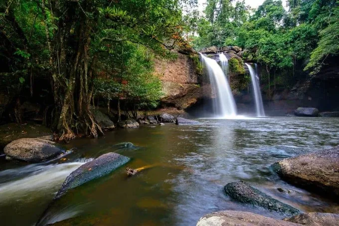 Khao yai national park